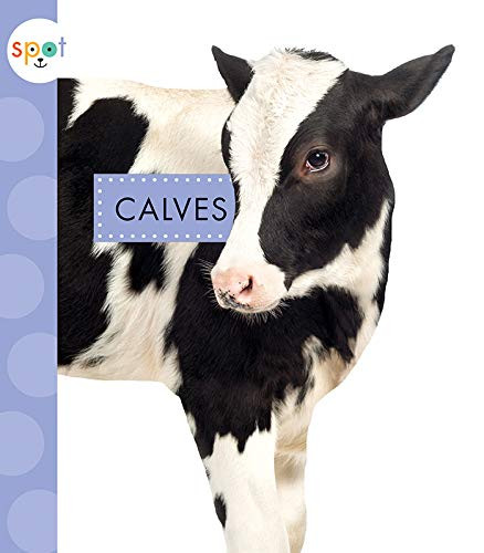 Calves by Anastasia Suen, 9781681523668