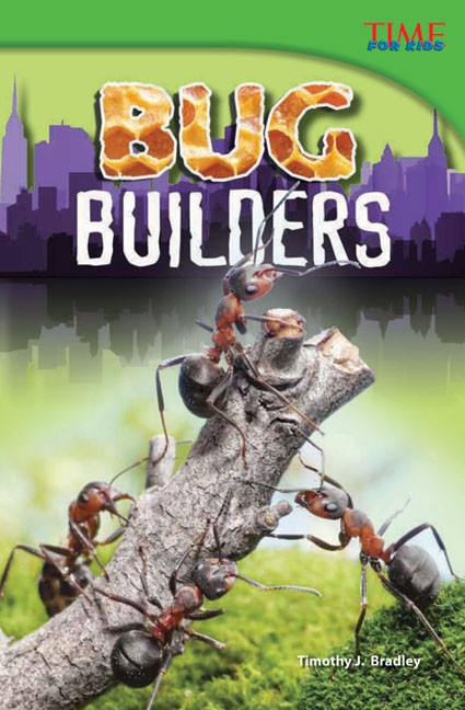 Bug Builders by Timothy J. Bradley, Timothy Bradley, Timothy Bradley, 9781433348211