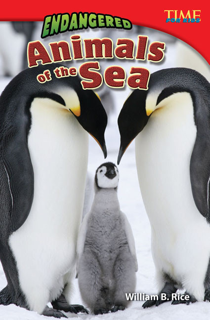 Endangered Animals of the Sea by William B. Rice, William Rice, William Rice, 9781433349355