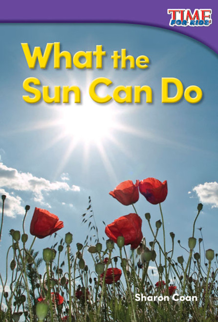 What the Sun Can Do by Sharon Coan, 9781493820535