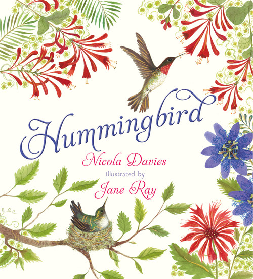 Hummingbird - 9781536205381 by Nicola Davies, Jane Ray, 9781536205381