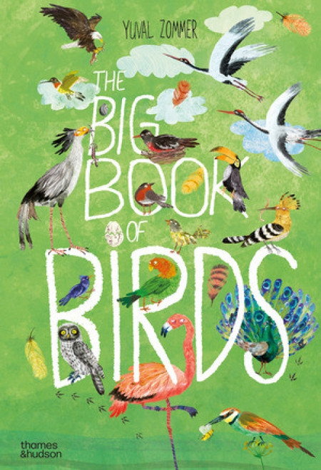 The Big Book of Birds by Yuval Zommer, 9780500651513