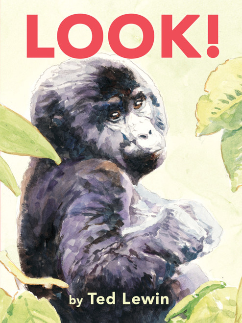 Look! (Miniature Edition) - 9780823442782 by Ted Lewin, 9780823442782