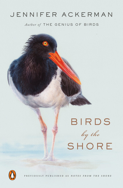 Birds by the Shore (Observing the Natural Life of the Atlantic Coast) by Jennifer Ackerman, 9780143134183
