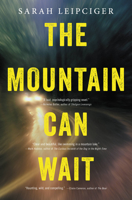 The Mountain Can Wait by Sarah Leipciger, 9780316380690