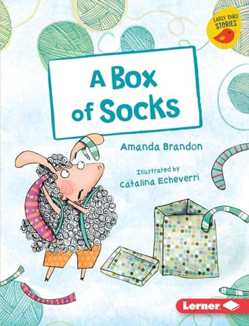 A Box of Socks - 9781541542204 by Amanda Brandon, Catalina Echeverri