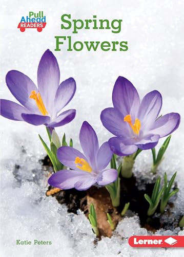 Spring Flowers - 9781541573451 by Katie Peters, 9781541573451
