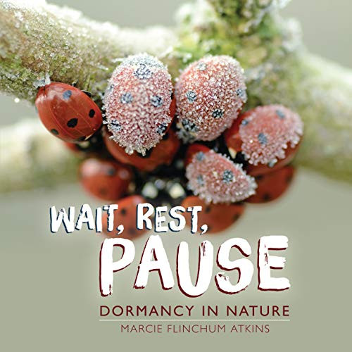 Wait, Rest, Pause (Dormancy in Nature) by Marcie Flinchum Atkins, 9781541561922