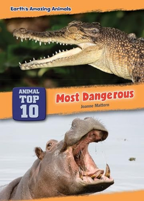 Most Dangerous by Joanne Mattern, 9781634406901