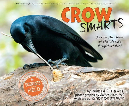Crow Smarts (Inside the Brain of the World's Brightest Bird) - 9780358133605 by Pamela S. Turner, 9780358133605