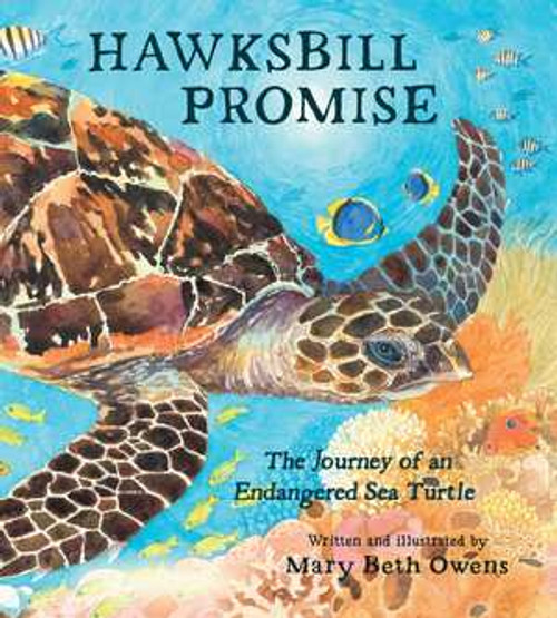 Hawksbill Promise (The Journey of an Endangered Sea Turtle) by Mary Beth Owens, 9780884484301
