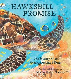 Hawksbill Promise (The Journey of an Endangered Sea Turtle) by Mary Beth Owens, 9780884484301