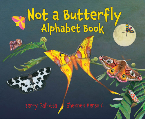 Not a Butterfly Alphabet Book (It's About Time Moths Had Their Own Book!) - 9781580896900 by Jerry Pallotta, Shennen Bersani, 9781580896900