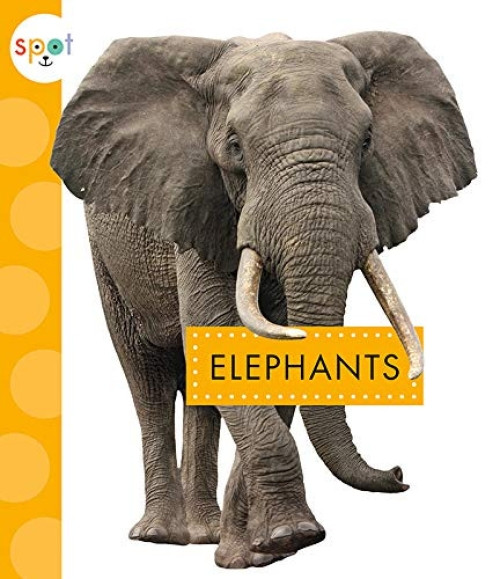 Elephants - 9781681524245 by Mary Ellen Klukow