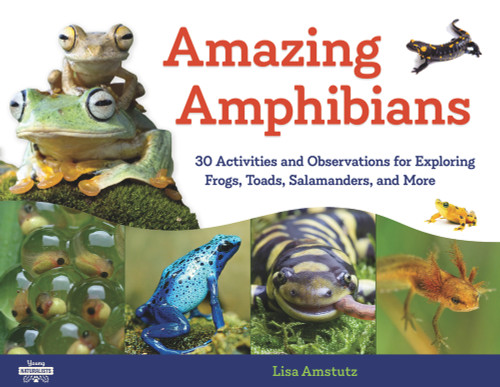 Amazing Amphibians (30 Activities and Observations for Exploring Frogs, Toads, Salamanders, and More) by Lisa J. Amstutz, 9781641600729