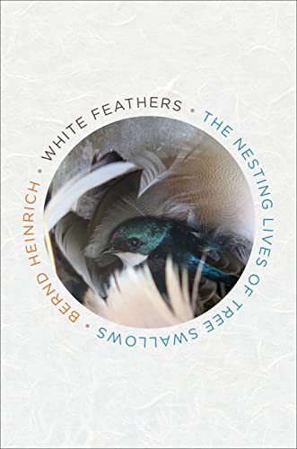 White Feathers (The Nesting Lives of Tree Swallows) by Bernd Heinrich, 9781328604415