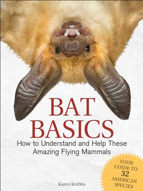 Bat Basics (How to Understand and Help These Amazing Flying Mammals) by Karen Krebbs, 9781591938439