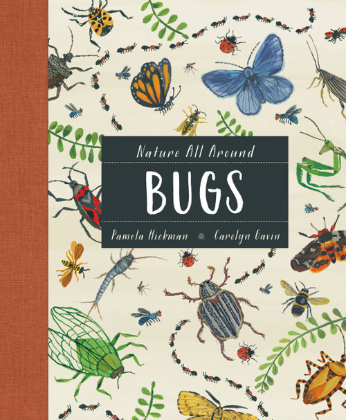 Nature All Around: Bugs by Pamela Hickman, Carolyn Gavin, 9781771388207