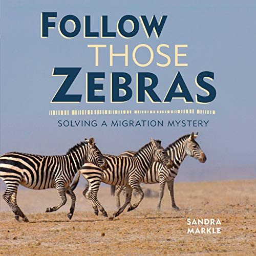 Follow Those Zebras (Solving a Migration Mystery) by Sandra Markle, 9781541538375