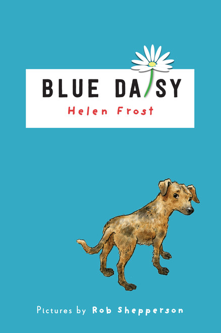 Blue Daisy by Helen Frost, Rob Shepperson, 9780823444144