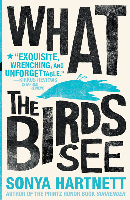 What the Birds See - 9781536208818 by Sonya Hartnett, 9781536208818