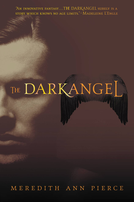 The Darkangel by Meredith Ann Pierce, 9780316067232