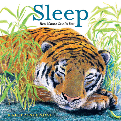Sleep: How Nature Gets Its Rest by Kate Prendergast, Kate Prendergast, 9781536207989