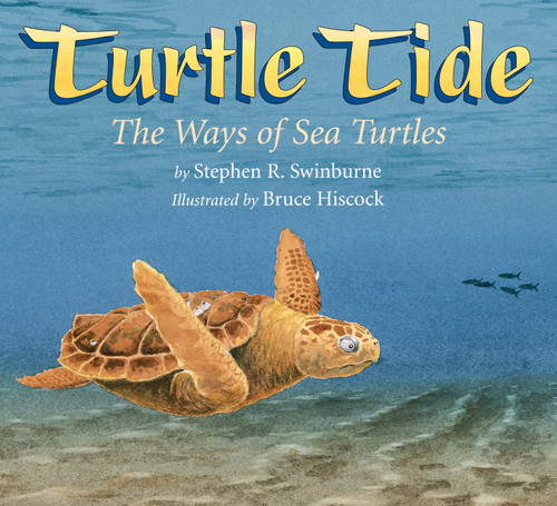 Turtle Tide (The Ways of Sea Turtles) by Stephen R. Swinburne, Bruce Hiscock, 9781590788271