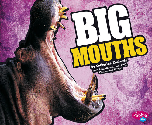 BIG Mouths by Catherine Ipcizade, 9781429639965