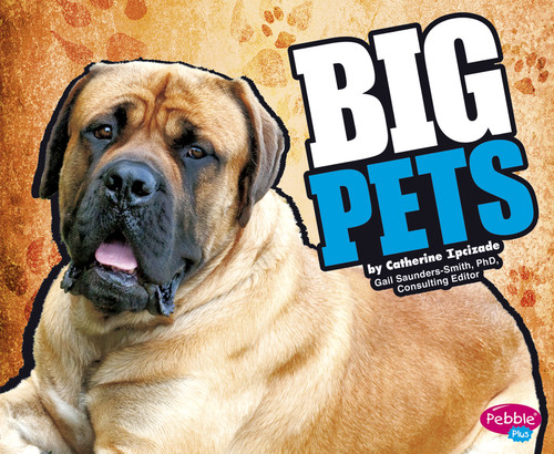 BIG Pets by Catherine Ipcizade, 9781429639972