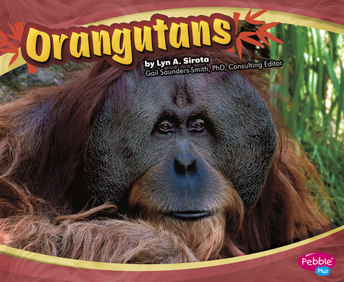 Orangutans - 9781429648486 by Joanne Mattern, 9781429648486