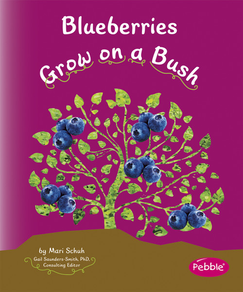 Blueberries Grow on a Bush by Mari Schuh, 9781429652827