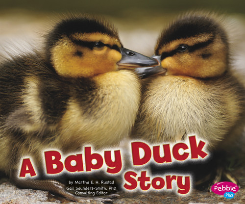 A Baby Duck Story by Martha E. H. Rustad, 9781429670913