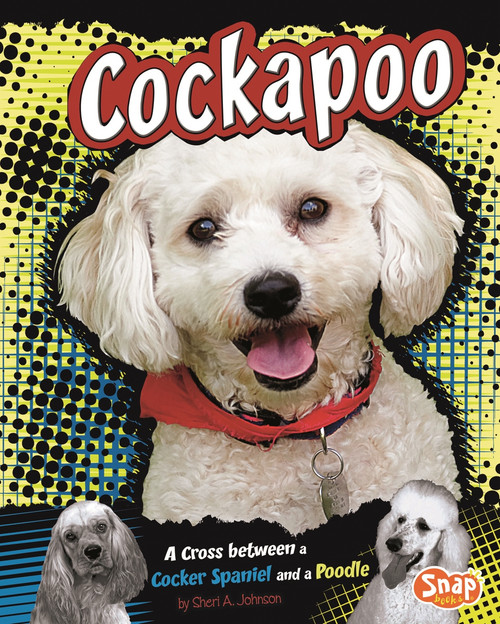 Cockapoo (A Cross Between a Cocker Spaniel and a Poodle) by Sheri A. Johnson, Tanya Dewey, 9781429677639