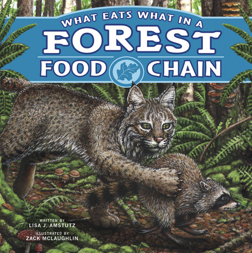 What Eats What in a Forest Food Chain - 9781404876927 by Lisa J. Amstutz, Zack McLaughlin, 9781404876927