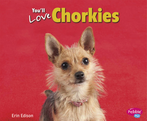 You'll Love Chorkies - 9781491406366 by Gail Saunders-Smith, Erin Edison, 9781491406366