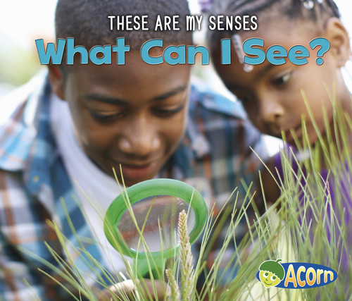 What Can I See? - 9781484604311 by Joanna Issa, 9781484604311