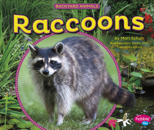 Raccoons - 9781491420874 by Gail Saunders-Smith, Mari Schuh, 9781491420874