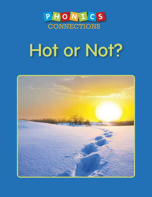 Hot or Not? by Wiley Blevins, 9781625219701