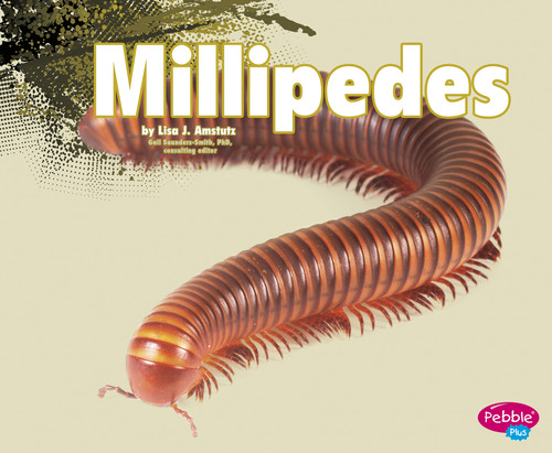 Millipedes - 9781491462140 by Gail Saunders-Smith, Nikki Bruno Clapper, 9781491462140