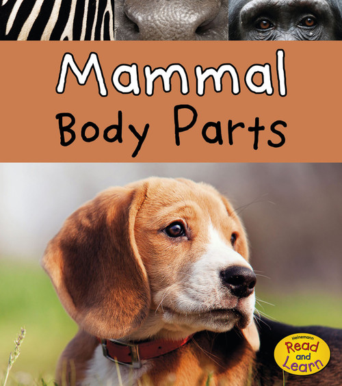 Mammal Body Parts by Clare Lewis, 9781484625590
