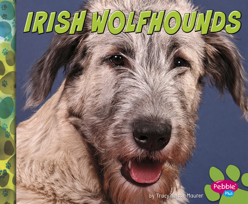 Irish Wolfhounds by Allan Morey, 9781491479810