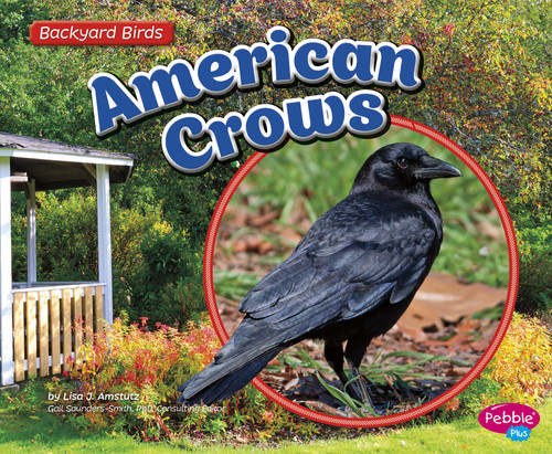 American Crows - 9781491485156 by Lisa J. Amstutz, 9781491485156