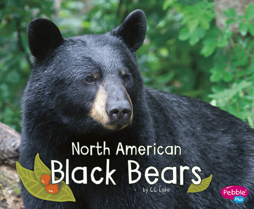 North American Black Bears by G.G. Lake, 9781515708148