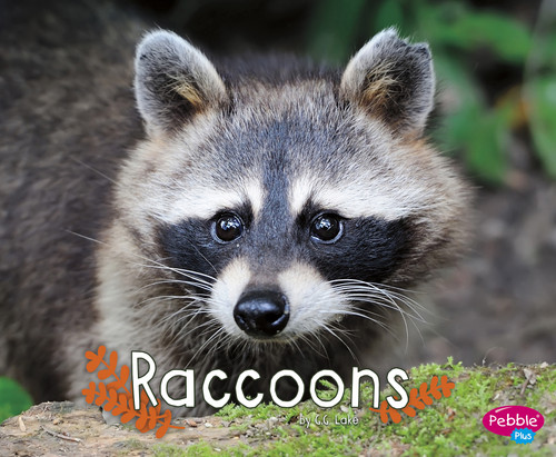 Raccoons - 9781515708179 by G.G. Lake, 9781515708179