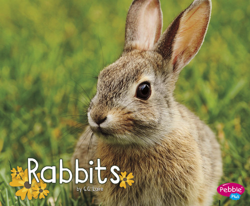 Rabbits - 9781515708230 by G.G. Lake, 9781515708230