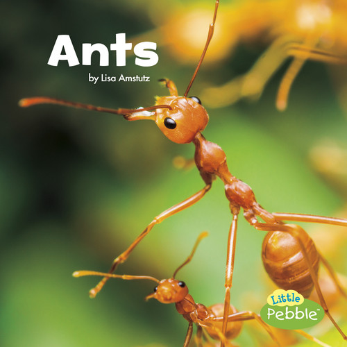Ants - 9781515719403 by Lisa J. Amstutz, 9781515719403