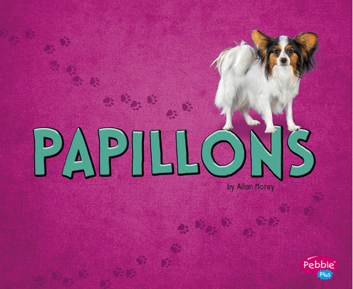 Papillons by Allan Morey, 9781515719656