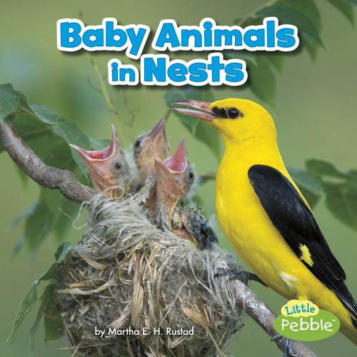 Baby Animals in Nests by Martha E. H. Rustad, 9781515738329