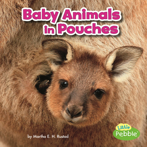Baby Animals in Pouches - 9781515738336 by Martha E. H. Rustad, 9781515738336